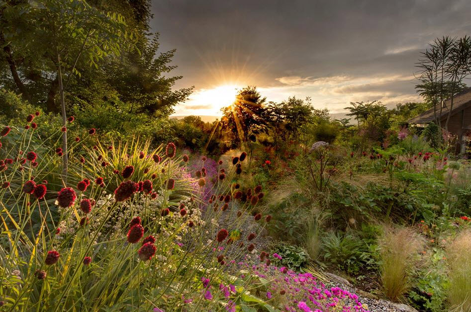 Hunting Brook Garden