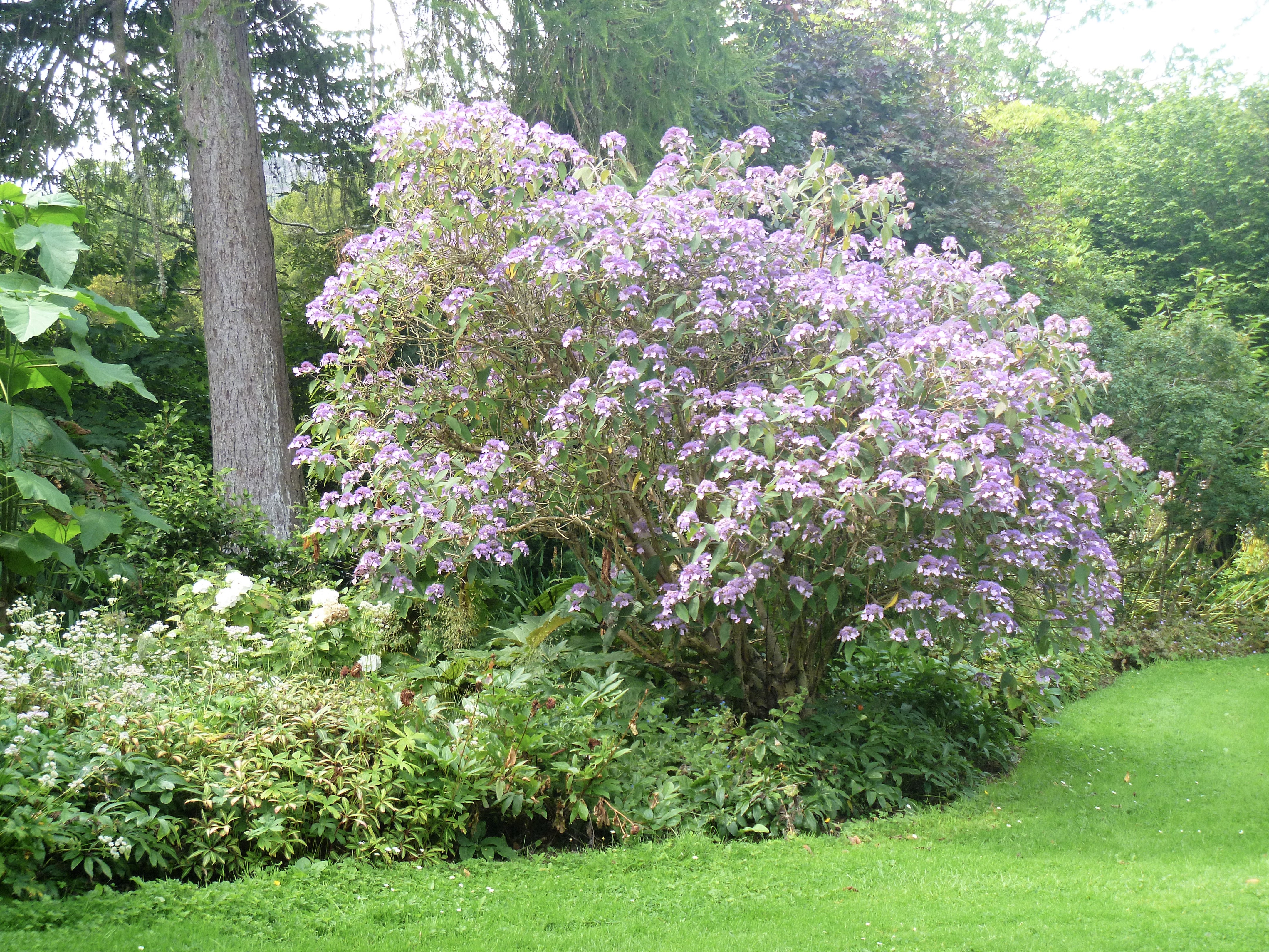 Formal gardens at Killruddery House, County Wicklow